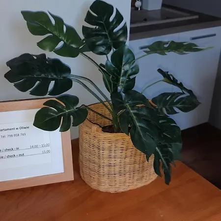 W Oliwie Apartament *