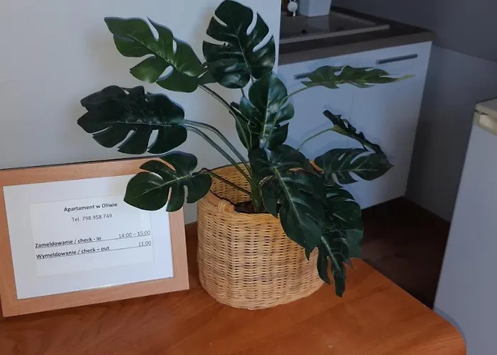 W Oliwie Appartement *