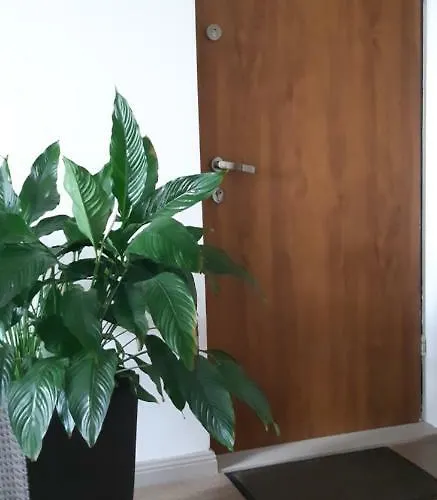 Appartement W Oliwie